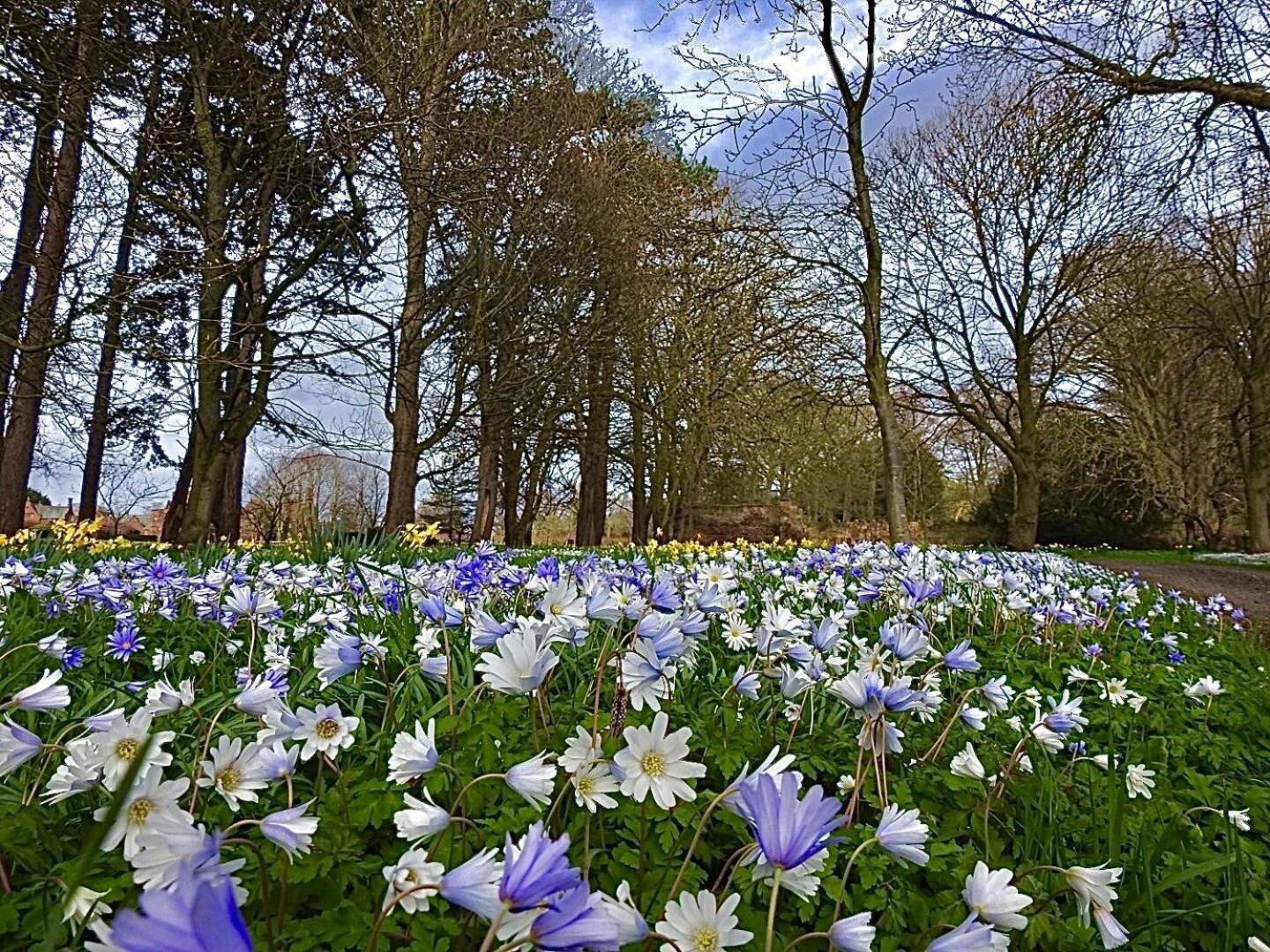 Thornton Manor - Holiday Cottages And Apartments Heswall Rum bild